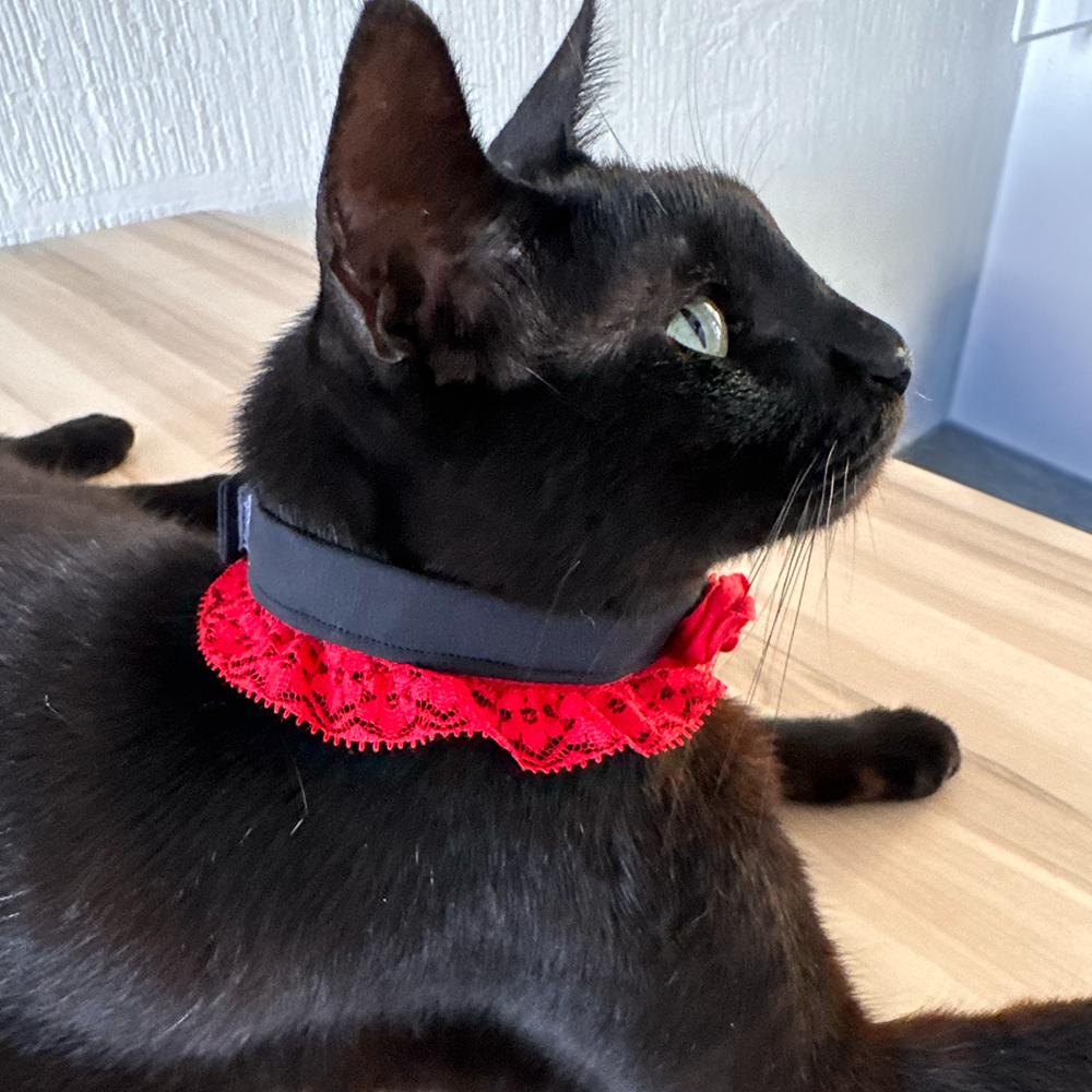Collar Primavera gótica