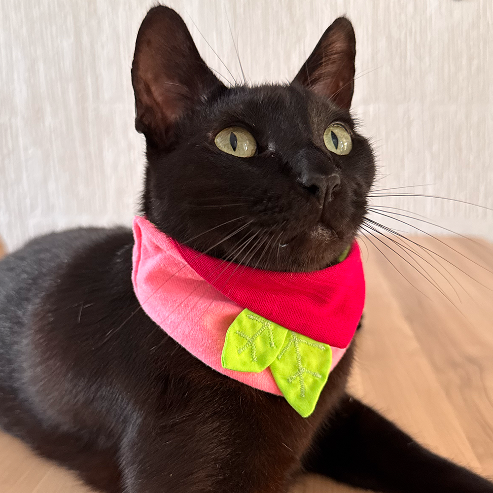 Bandana Floripondia
