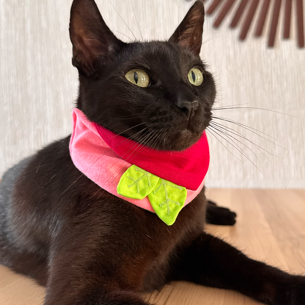 Bandana Floripondia