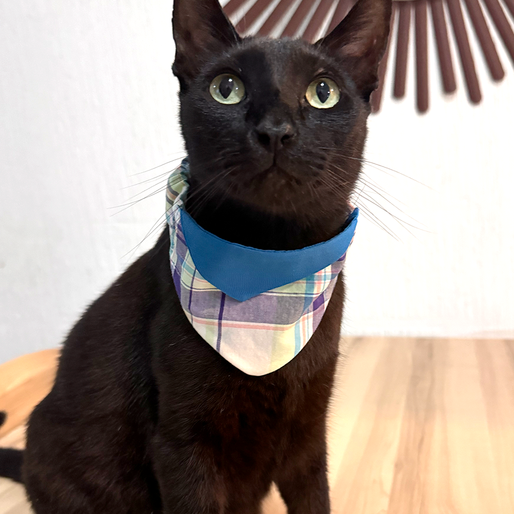 Bandana Costa de Primavera