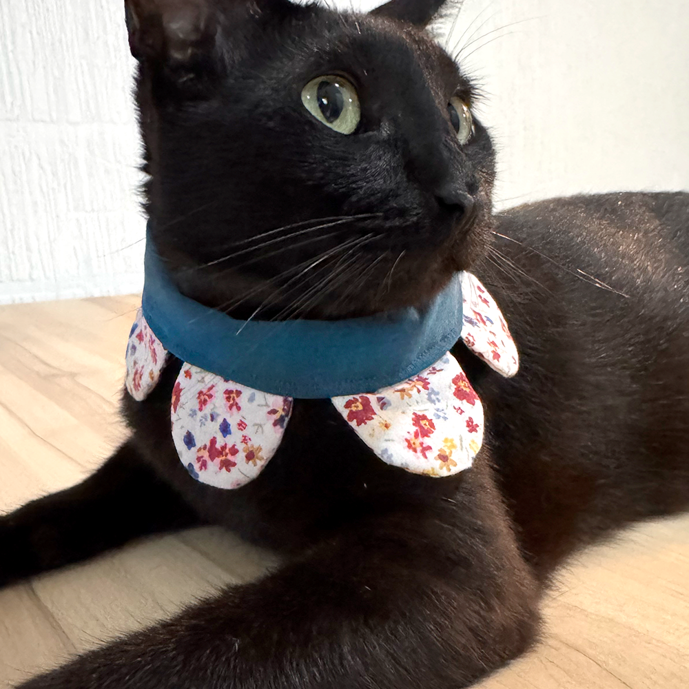 Collar Petunias y Bigotes