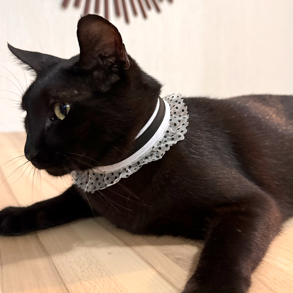 Collar Eclipse Floral