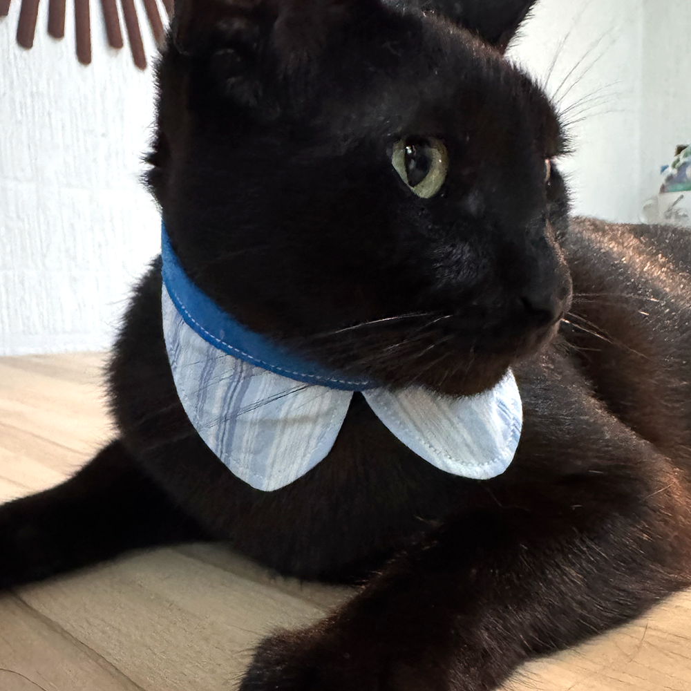 Collar Nan Godinoso