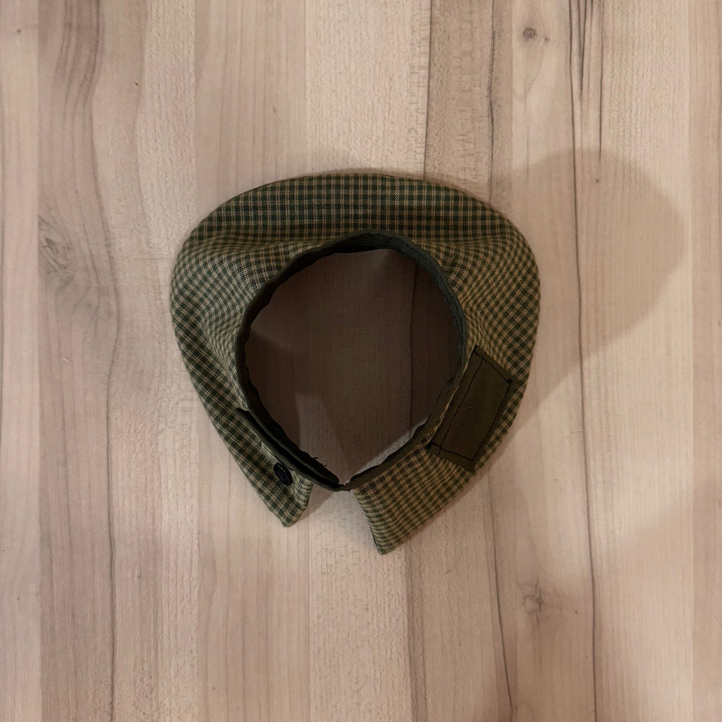 Collar Capa Inspector Gatuno