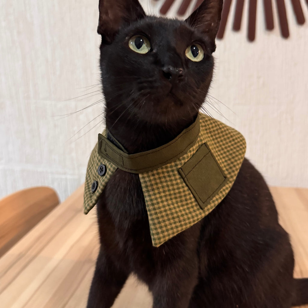 Collar Capa Inspector Gatuno