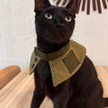 Collar Capa Inspector Gatuno