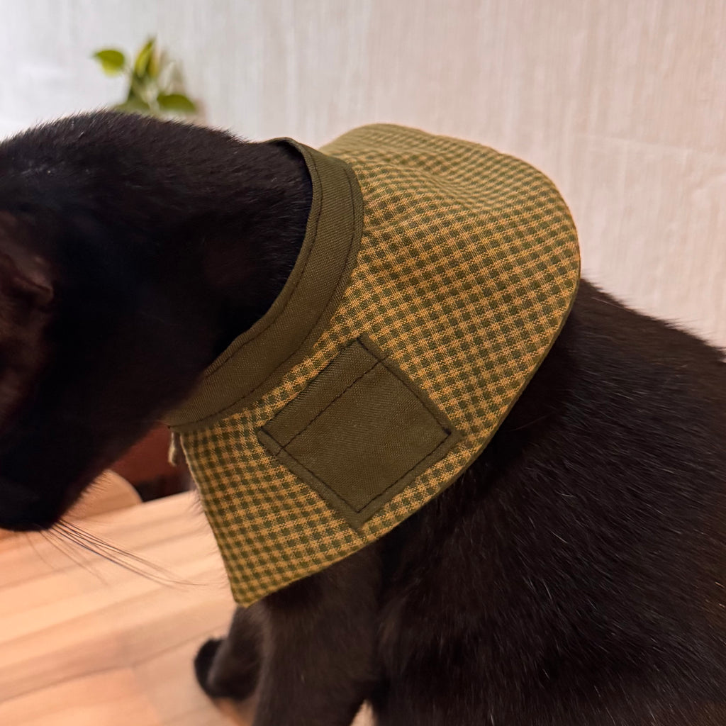 Collar Capa Inspector Gatuno