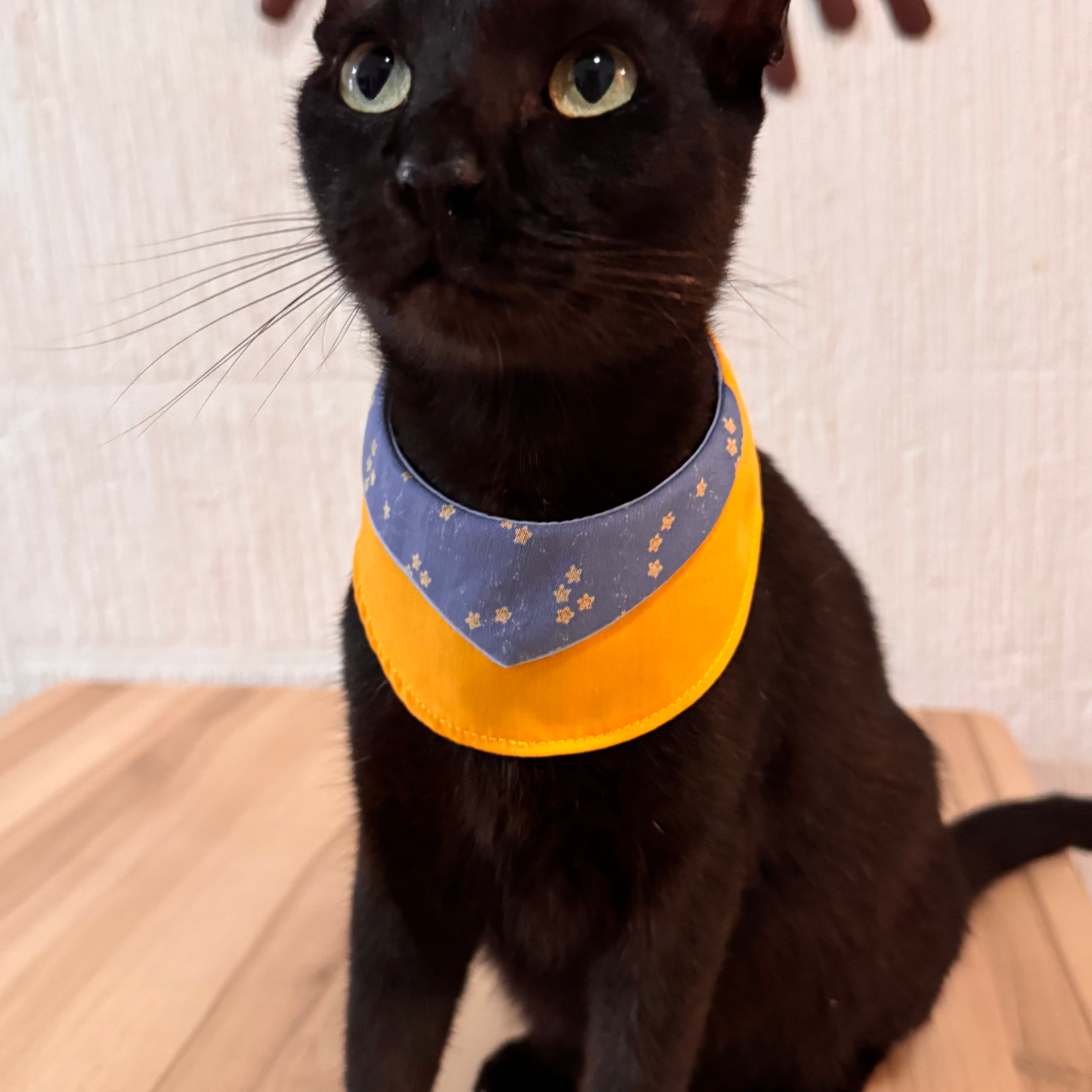 Collar Tarde de Verano