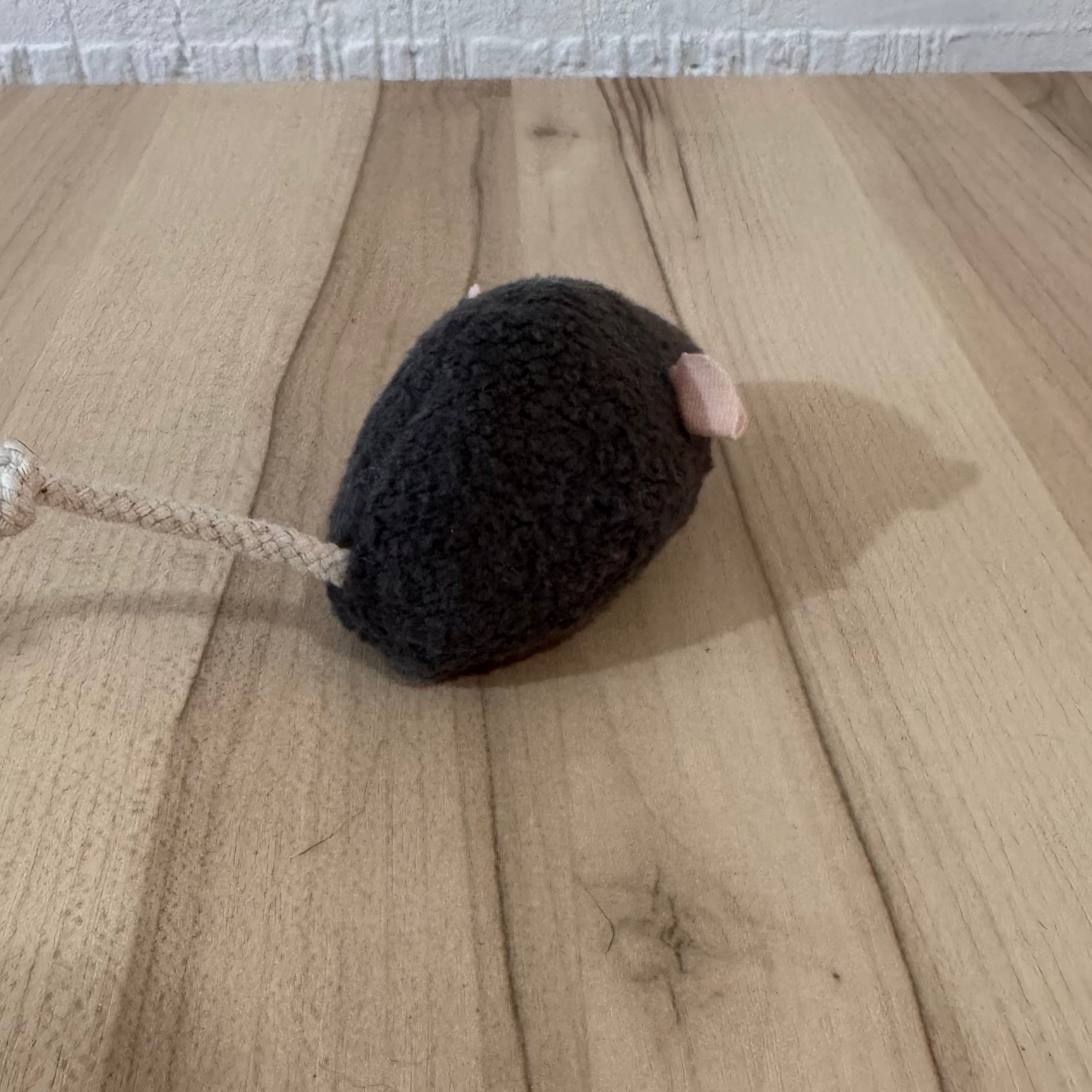Ratoncitos con Catnip
