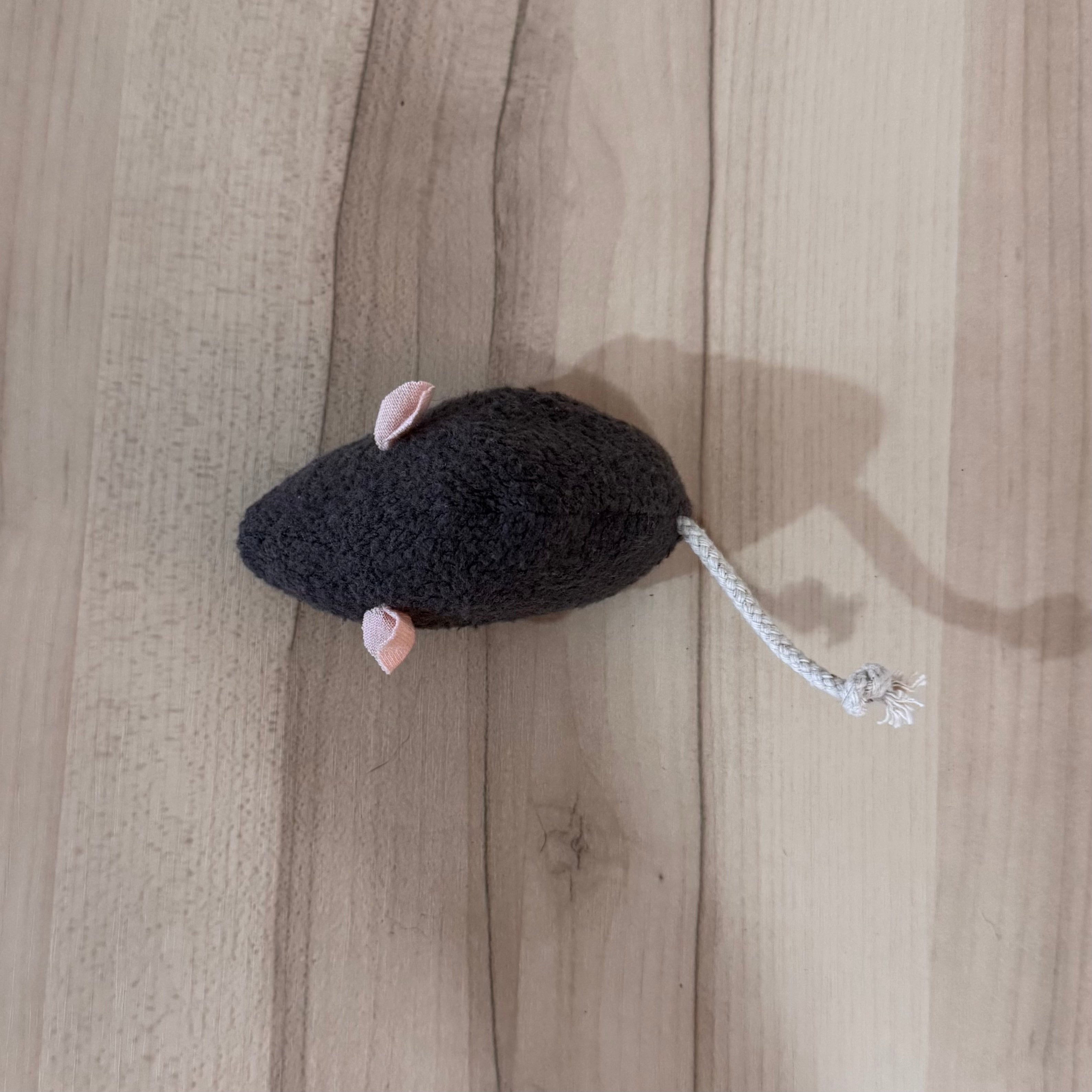 Ratoncitos con Catnip