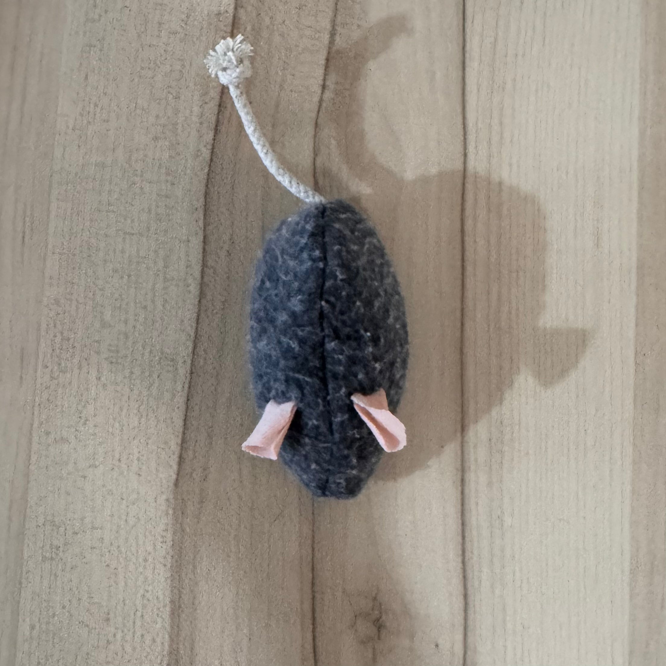 Ratoncitos con Catnip