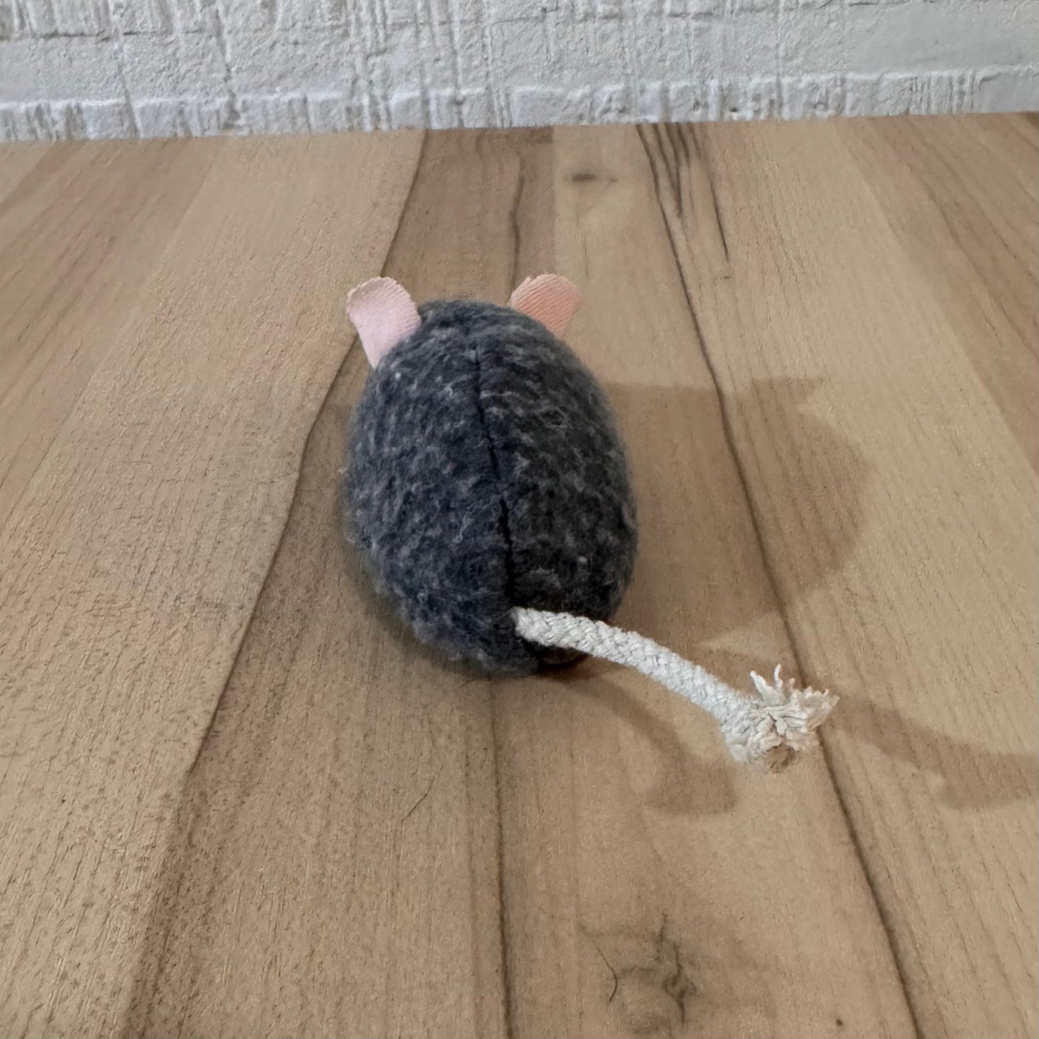Ratoncitos con Catnip