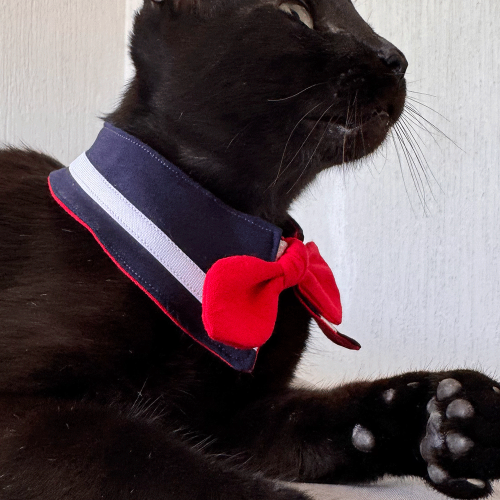 Collar Panterita Capitán