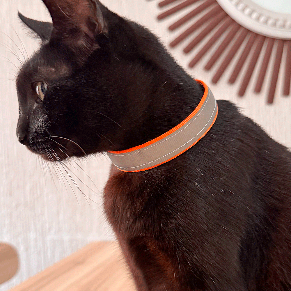 Collar Reflejante