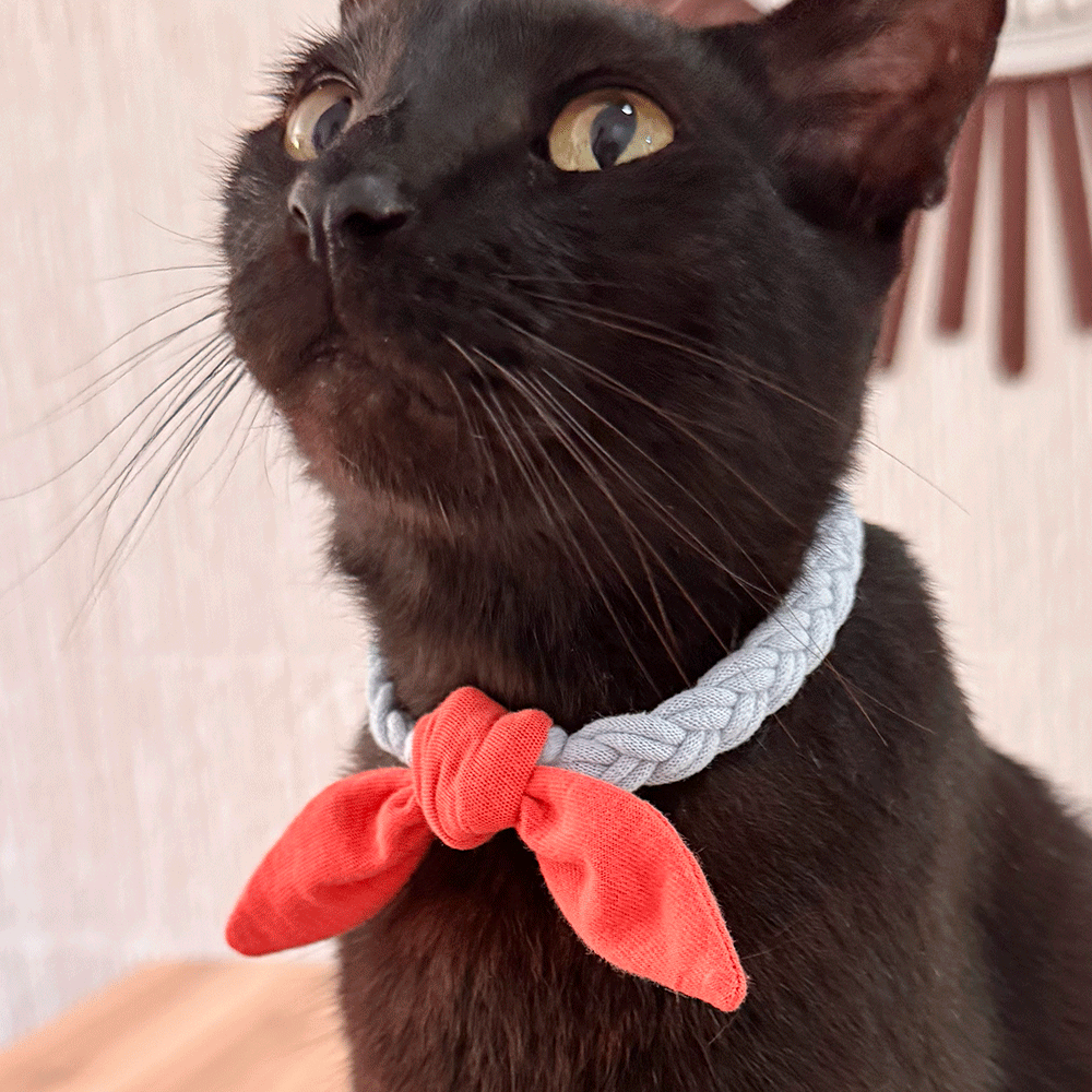 Collar trenzado con moño
