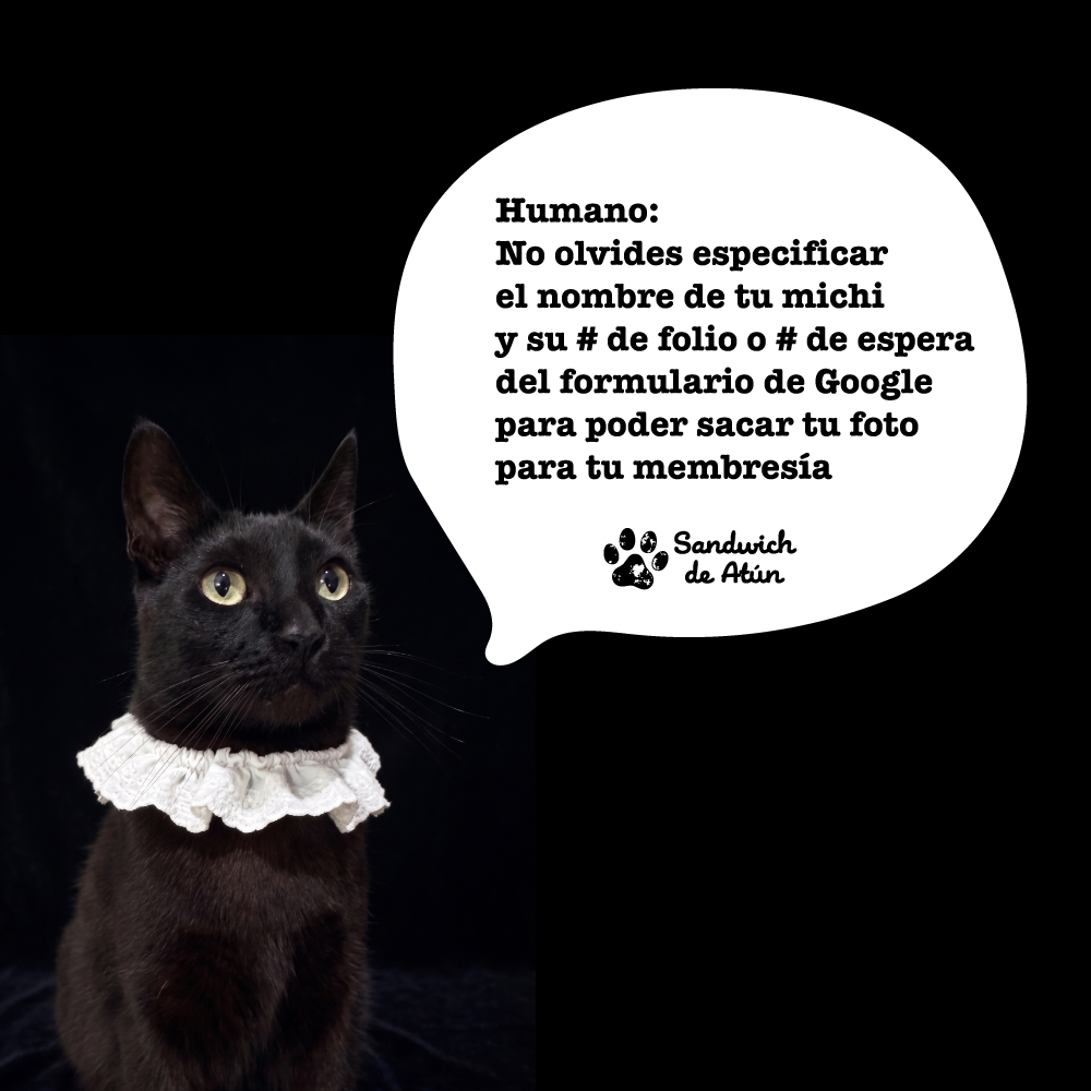 Kit de bienvenida